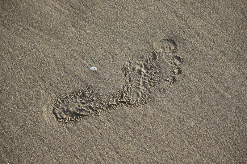 outdoors, no people, sand, paw print, Beach, brown, Sand, high angle view, Foot, beach, 5K, mystery, Footprint, pattern, full frame, land, Human, print