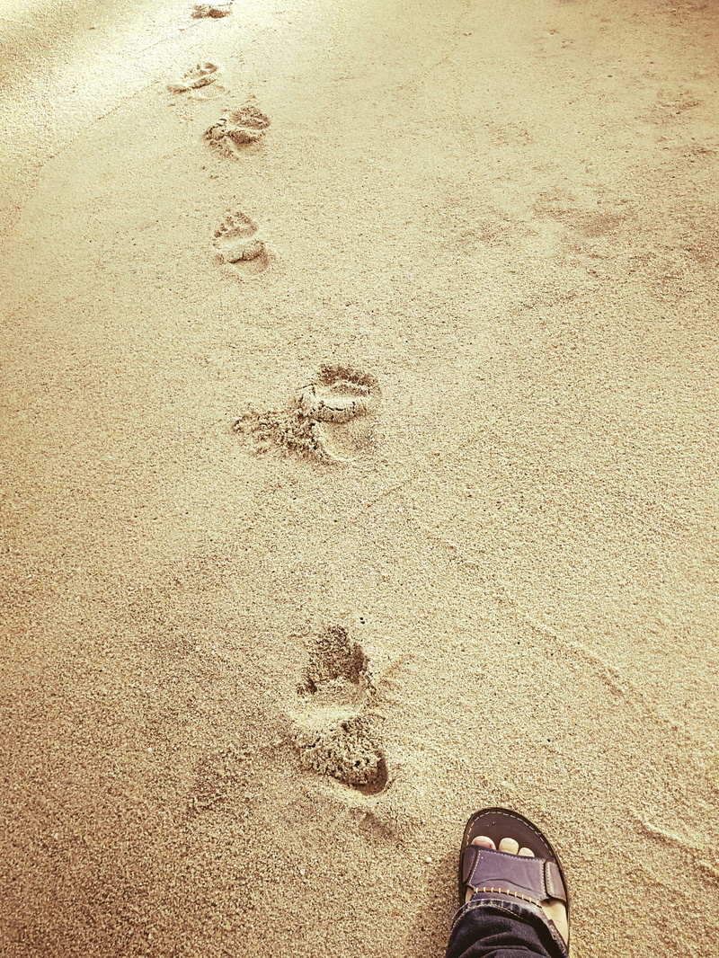 real people, low section, land, people, 2K, personal perspective, seashore, nature, human foot, human limb, beach, day, sand, foot, sandy, paw print, print