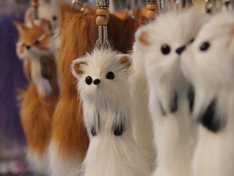 souvenir, domestic animals, art and craft, animal themes, mammal, group of animals, 2K, itachi, representation, feline, animal representation, retail