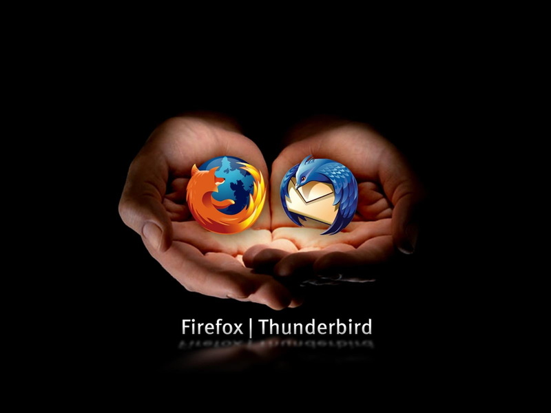 thunderbird, communication, Computers, firefox, 720P, global business, copy space, text, economy, multi colored, human body part, creativity, mozilla