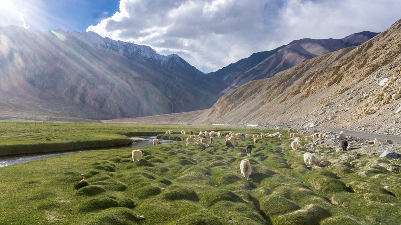 green, environment, ship, nature, hunder, no people, mountain range, grass, cloud - sky, mountain, group of animals, tranquility, land, sky, outdoors, day