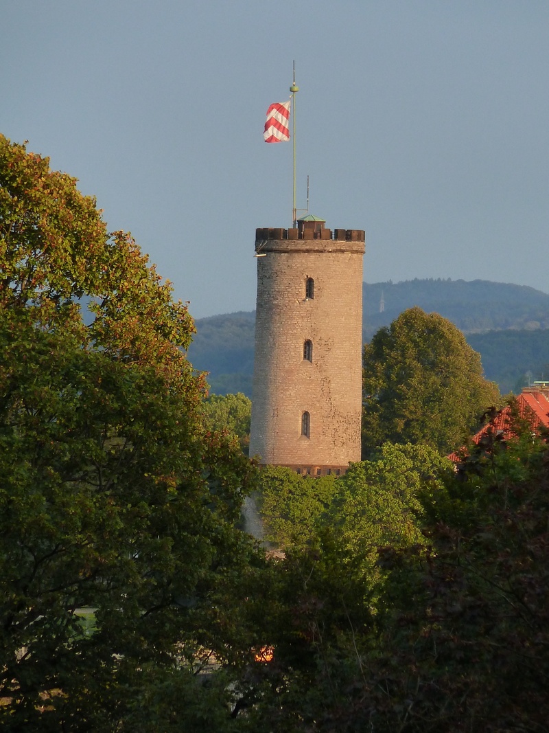 plant, outdoors, day, flag, tree, bielefeld, sky, architecture, 4K, no people, mountain, built structure, sparrenburg, patriotism, sunlight, low angle view