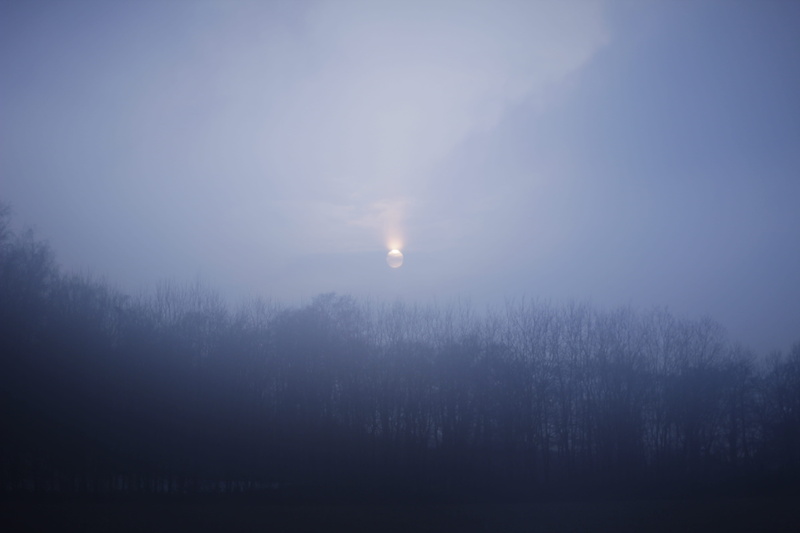 5K, trees, land, nature, mist, tree, scenics - nature, sky, forest, clouds, tranquil scene, landscape, germany, no people, deutschland, beauty in nature