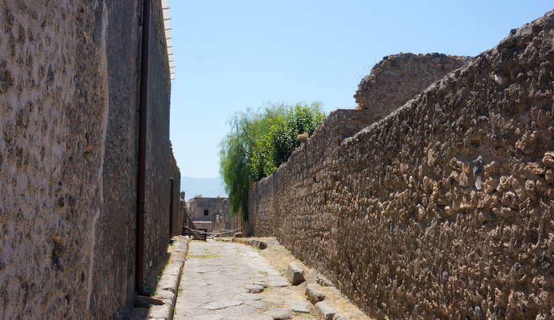 day, stone wall, footpath, the way forward, architecture, italy, clear sky, walls, alley, travel destinations, stone, stone material, plant, ancient, outdoors