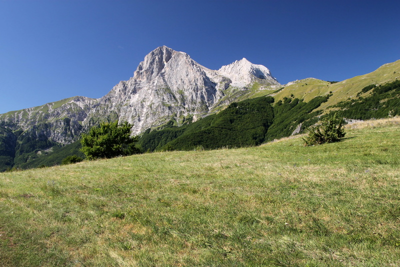 trekking, mountain peak, blue, environment, abruzzo, tree, tranquility, grass, scenics - nature, pine tree, 2K, tranquil scene, landscape, outdoors, plant