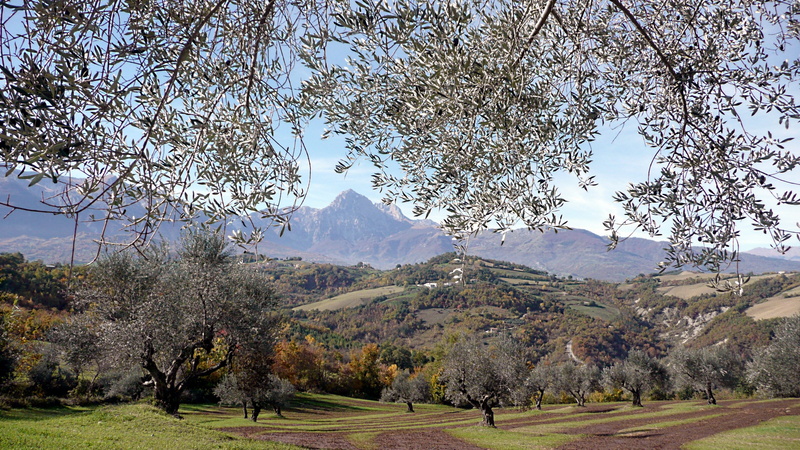 idyllic, panorama, beauty in nature, 2K, plant, november, day, tranquil scene, italy, landscapes, outdoors, grass, environment, scenery, tranquility, scenic