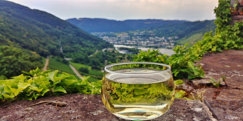 crop, refreshment, nature, healthy eating, alcohol, freshness, household equipment, winery, mountain, 4K, environment, landscape, wine glass, plant, wine