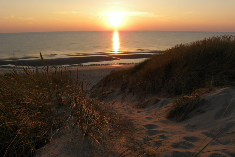 noord-holland, sea, dunes, nature, grass, tranquility, beauty in nature, horizon, sunlight, peaceful, plant, evening, holiday, water, 4K, horizon over water