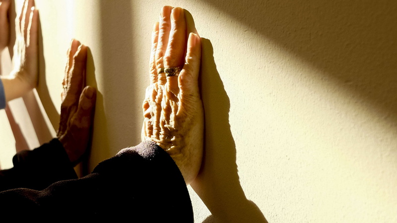 day, nature, adult, fingers, hands, unrecognizable person, hand, rings, 4K, women, personal perspective, elderly, lifestyles, shadow, leisure activity