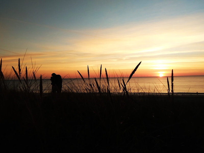 back Lit, afterglow, sunrise - Dawn, orange Color, sky, egmond aan zee beach, non-urban scene, Egmond Aan Zee, Sunset, honeymoon, sun, Love, plant, 1080P