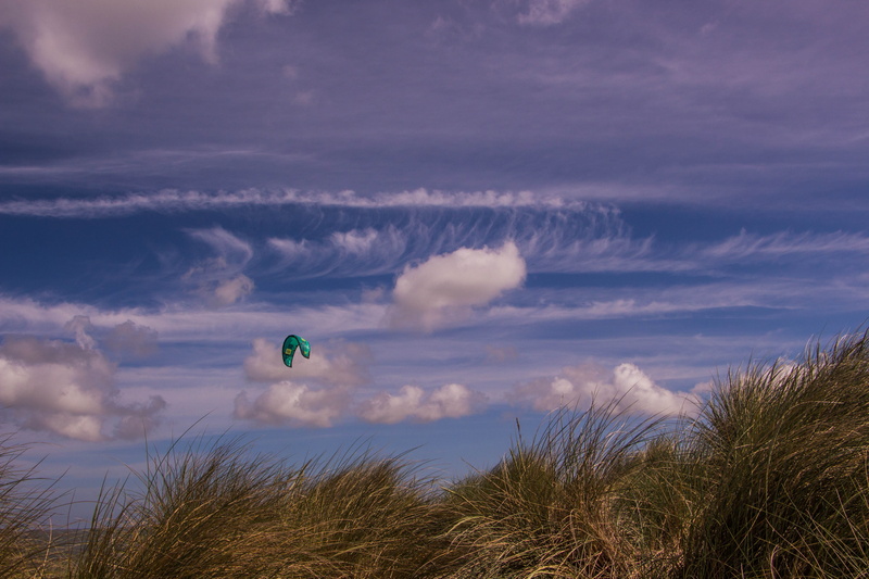 marram grass, cloud - sky, day, tranquility, weather, sky, grass, belgium, tranquil scene, landscape, environment, knokke-heist, wind, scenics - nature