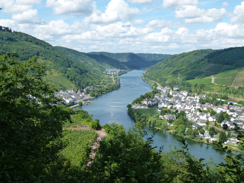 environment, landscape, bullay, plant, non-urban scene, high angle view, 4K, mosel, tranquility, beauty in nature, tranquil scene, green color, growth