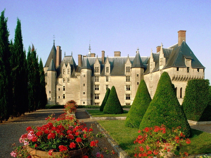 de, langeais, trees, chateaus, photography, chateau, animals, green, flowers, france, 1080P