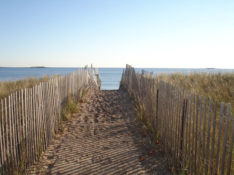 1080P, beauty in nature, nature, path, land, coast, no people, beach, horizon over water, sand, horizon, wooden post, grass, direction, footpath, scenics - nature