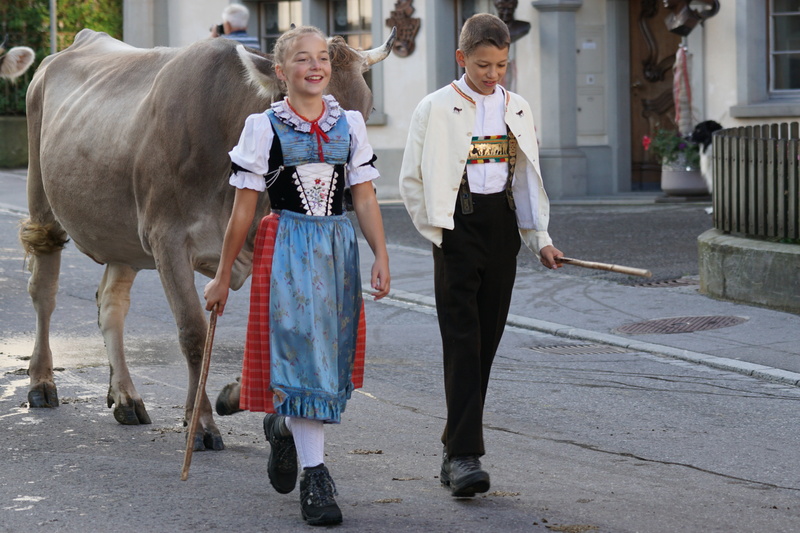 village, cows, boy costume, vertebrate, customs, real people, appenzell, domestic animals, feast day, pets, sennen, women, domestic, appenzeller, switzerland