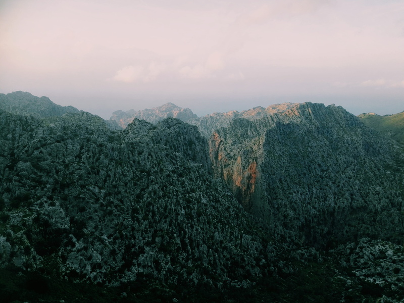 no people, green, environment, outdoors, tranquility, yangshuo, tree, daytime, 4K, woodland, tranquil scene, sky, scenics - nature, cloud - sky, nature