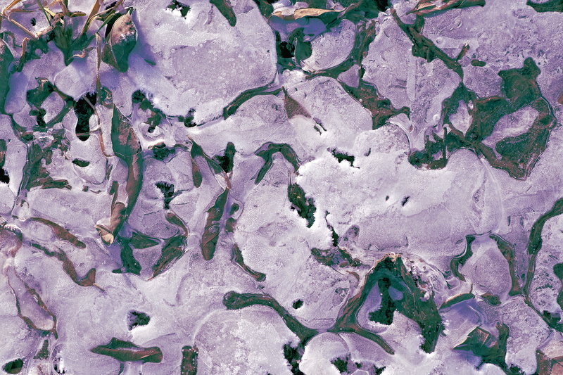 nature, frosty, architecture, white, ice crystals, textured, close-up, rough, frozen, permafrost, 5K, white color, backgrounds, glacial, frozen leaf, abstract