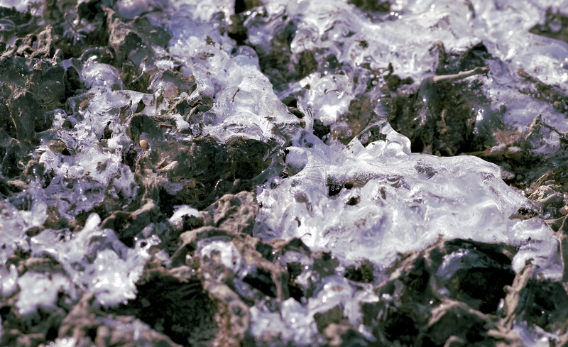 mineral, selective focus, cold temperature, cold, zers, pattern, biel, design, fraktura, crystal, textured, lichen, 4K, frozen leaf, nature, the background