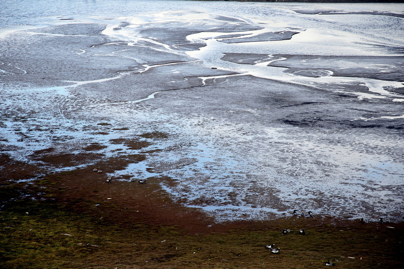 no people, travel, nature, environment, scenics - nature, permafrost, cold temperature, outdoor, polar, frozen, bird, day, tranquility, arctic, sea, 5K
