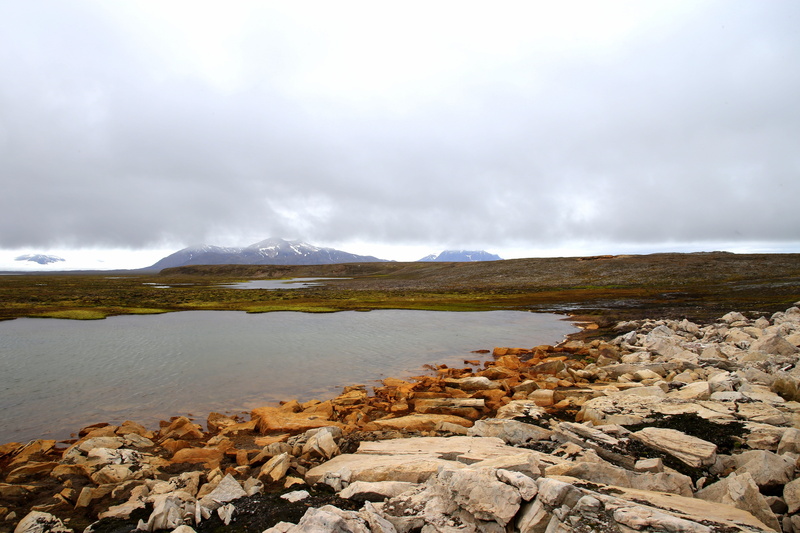 summer, iceberg, inland, arctic, water, sea, fjord, scenics - nature, 5K, tranquil scene, rock, rock - object, outdoor, tranquility, polar, hiking, permafrost