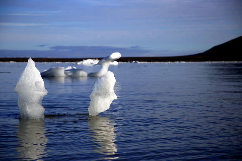 ice, travel, glacier, loneliness, animals in the wild, floating on water, outdoor, panorama, sea, melting, tranquility, outdoors, arctic, cold temperature