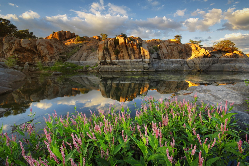 flowers, Prescott, rocks, AZ, 1080P, lake, reflection, Watson lake, Arizona, clouds, USA