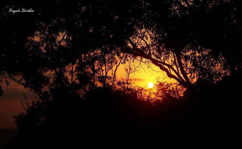 Sun and Sky, outdoors, Travel, orange color, fort aguada, tranquility, Beautiful, plant, scenics - nature, growth, branch, aguada, sun, fort, india, Sunset