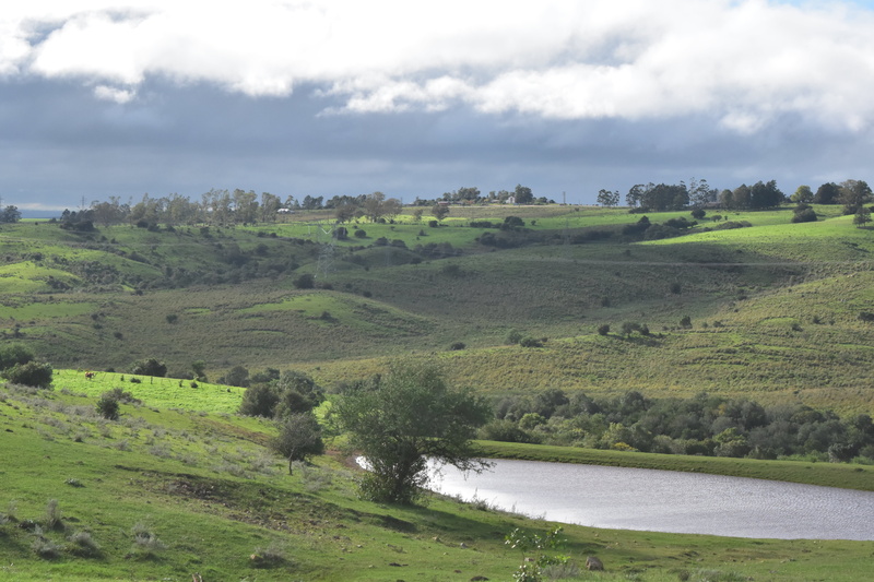 scenics - nature, tree, dark, land, water, 5K, grass, field, aguada, hurricane, day, cloud - sky, clouds, verdeos, sky, green color, non-urban scene, mysterious