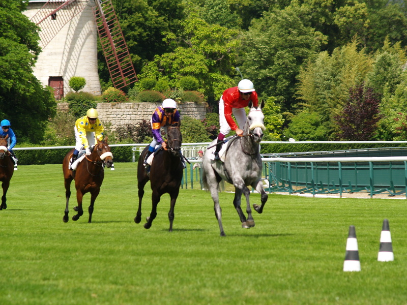 day, real people, plant, green color, animal, race, group of animals, animals, sport, livestock, horses, activity, animal themes, vincennes, horseback riding