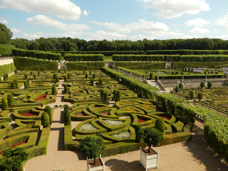 scenics - nature, château de villandry royal castle, agriculture, outdoors, garden path, beauty in nature, france, classic, plant, growth, 4K, architecture