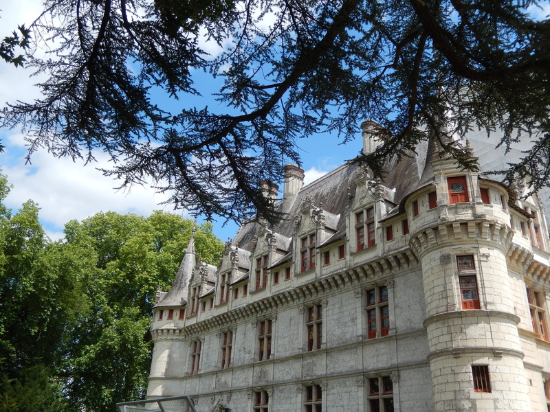 history, no people, france, nature, historic, chateau, architecture, branch, famous Place, building, building Exterior, château dussé, the past, low angle view