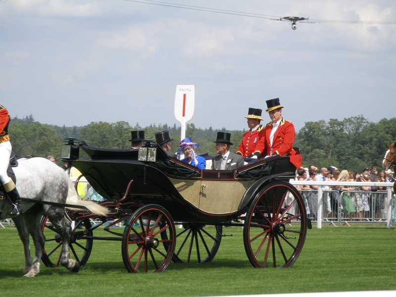 people, Horse, horsedrawn, adults only, day, nature, outdoors, livestock, horse cart, carriage, 2K, mammal, domestic, mid adult, men, monarchy, herbivorous