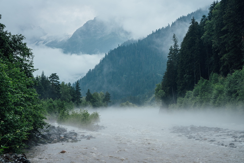 idyllic, 4K, scenics - nature, non-urban scene, beauty in nature, mountain, fog, forest, outdoors, flowing, plant, no people, day, river, tranquil scene