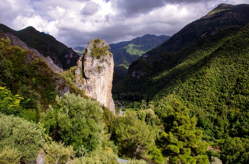 park, environment, pine tree, beauty in nature, scenics - nature, travel, mountain, land, travel destinations, mountain peak, pollino national park, green