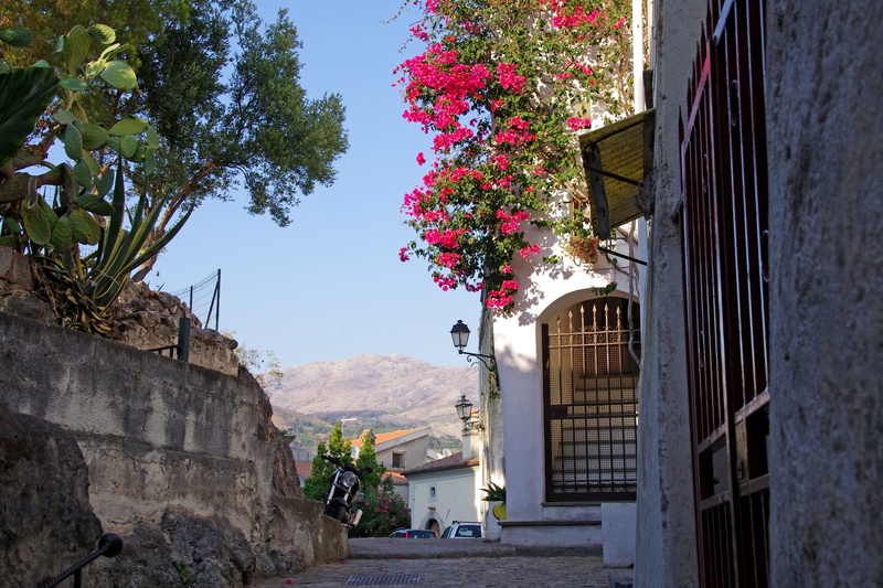 building, no people, residential district, bougainvillea glabra, plant, sunlight, 2K, italy, calabria, nature, old houses, historic village, architecture