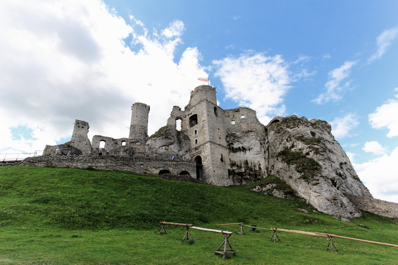 plant, building, ruined, travel destinations, 5K, castle, ancient, low angle view, green color, building exterior, landscape, old, abbey, day, cloud - sky