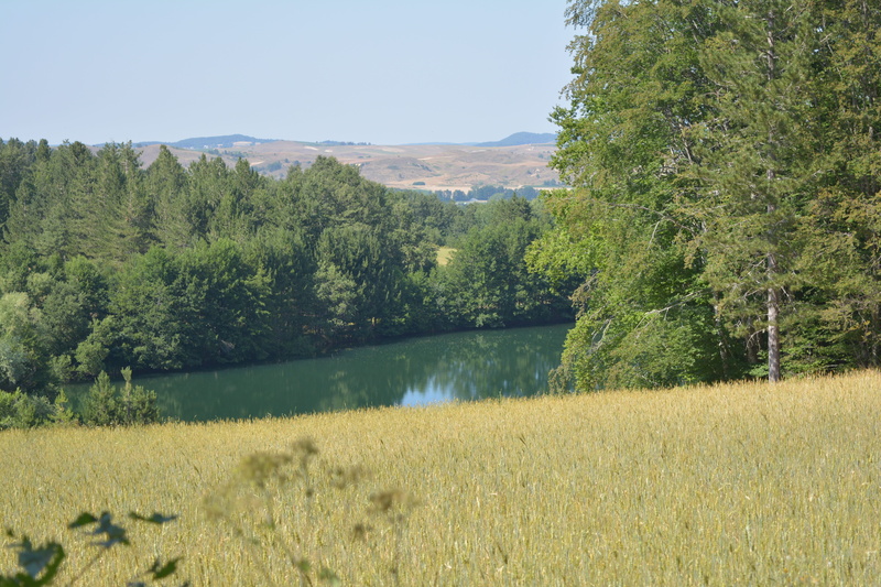 beauty in nature, scenics - nature, lake, no people, field, tree, Lake, Mountain, summer, scenics, Sila, coniferous tree, 5K, landscape, land, grass, day