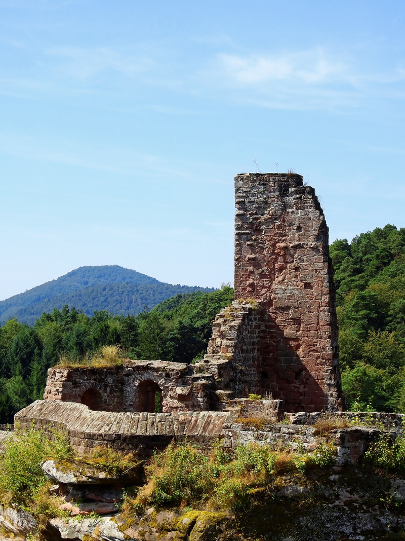 old ruin, tree, fortresses, ancient civilization, masonry, nature, burgruine, rock, stone, fortress, architecture, middle ages, rock castle, no people