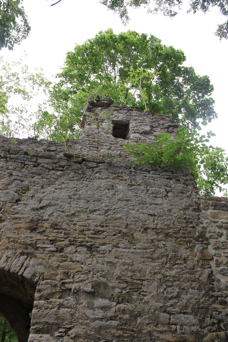 building, history, ancient civilization, built structure, ancient, look forestry, 4K, sky, religion, castle, archaeology, the past, burgruine, outdoors