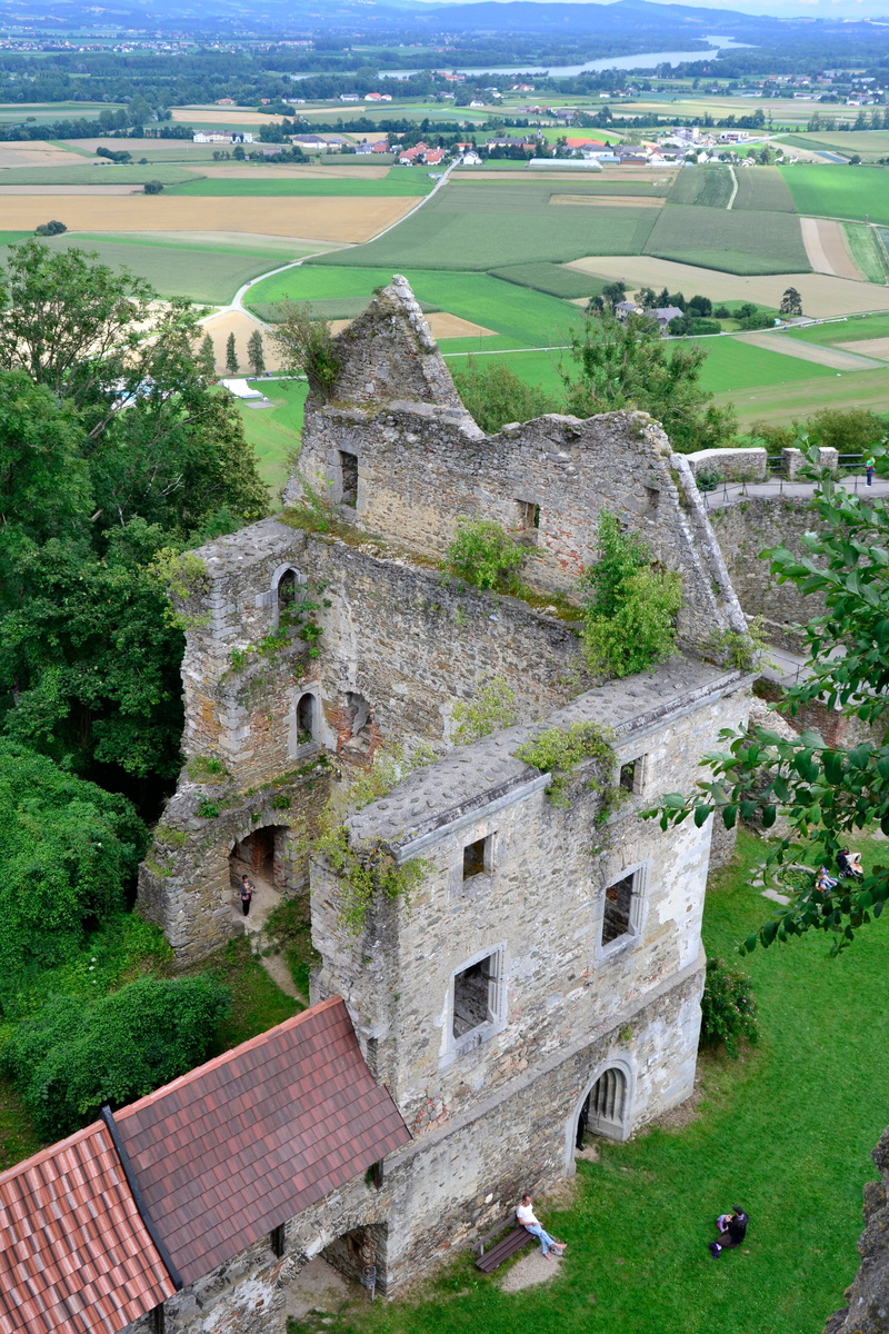 architecture, austria, old, tree, building exterior, burgruine, built structure, 4K, day, history, castle, the past, high angle view, plant, eferding