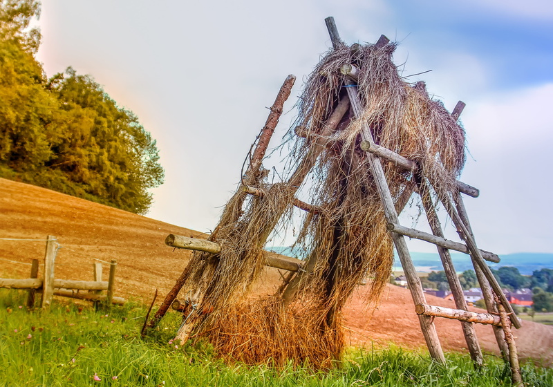 agriculture, landscape, brown, hay, green, frame, andernach, hays, arable, harvest, field, wooden frame, near, luftrocknung, house, forage, hut, grass
