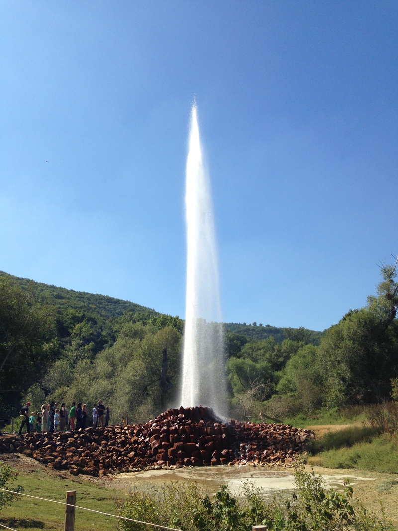 spraying, sky, motion, water, outdoors, plant, fountain, travel, nature, day, tree, geyser, environment, scenics - nature, andernach, land, splashing, beauty in nature