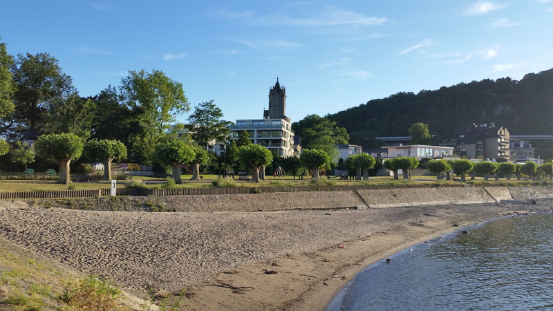 tree, nature, place of worship, round tower, ancient civilization, built structure, rhine equipment, water, building exterior, architecture, tourism, history