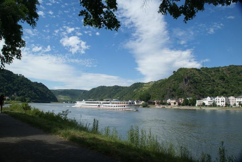 architecture, rhine equipment, St Goar, 4K, no people, scenics - nature, nautical vessel, river, rhine, rheinfels, sailboat, scenics, tree, landscape