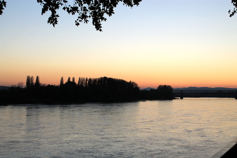 tranquility, idyllic, nature, non-urban scene, plant, abendstimmung, no people, sky, beauty in nature, river, rhine, romance of the rhine, lake, silhouette