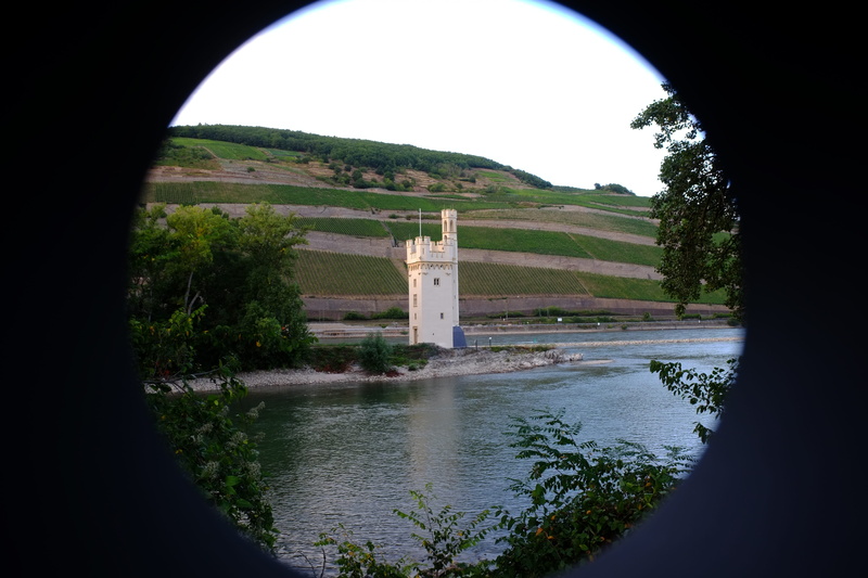 bingen mäuseturm, tower, outdoors, middle ages, water, plant, tranquil scene, no people, river, bingen am rhein, palatinate, built structure, tranquility
