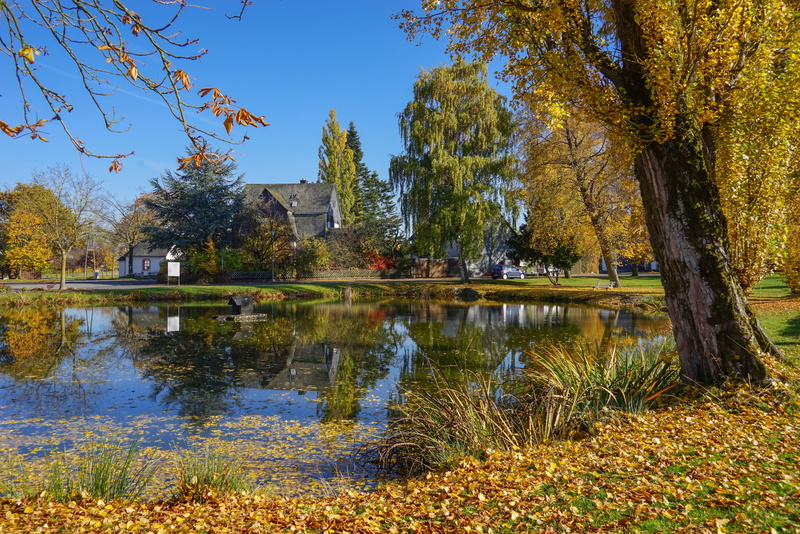 scenics - nature, mirroring, day, golden october, autumn, change, tree, sky, no people, tranquil scene, pond, plant, water, outdoors, fall color, lake