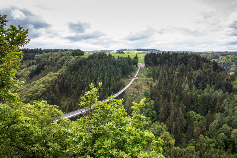 green color, landscape, forest, day, environment, land, 5K, germany, high angle view, trail, hunsrück, cloud - sky, hiking, growth, fear of heights, height