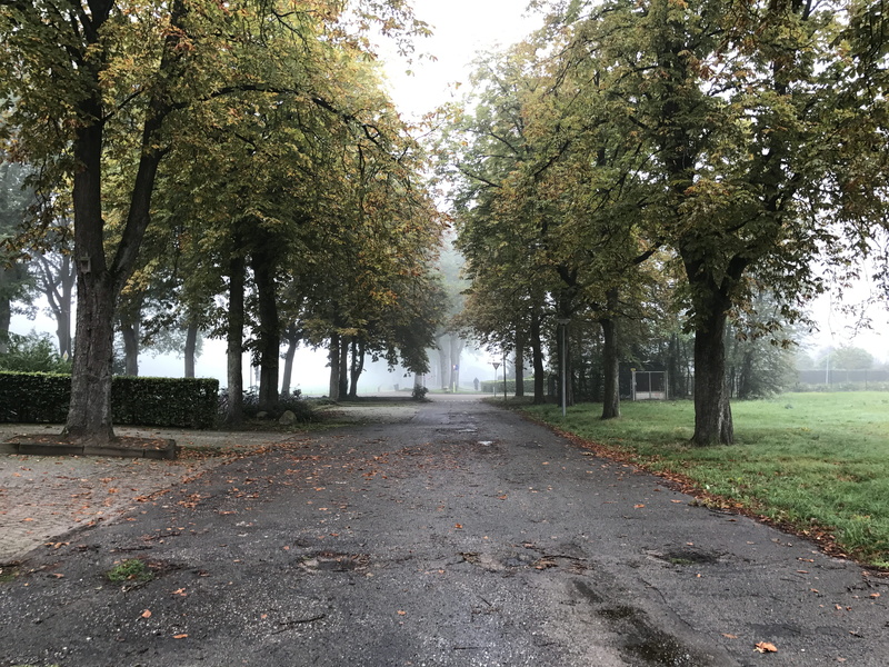 tree, landscape, street, fog, 4K, change, no people, fall, tranquility, early morning, park, tree trunk, plant, footpath, beauty in nature, leaf, vanishing point