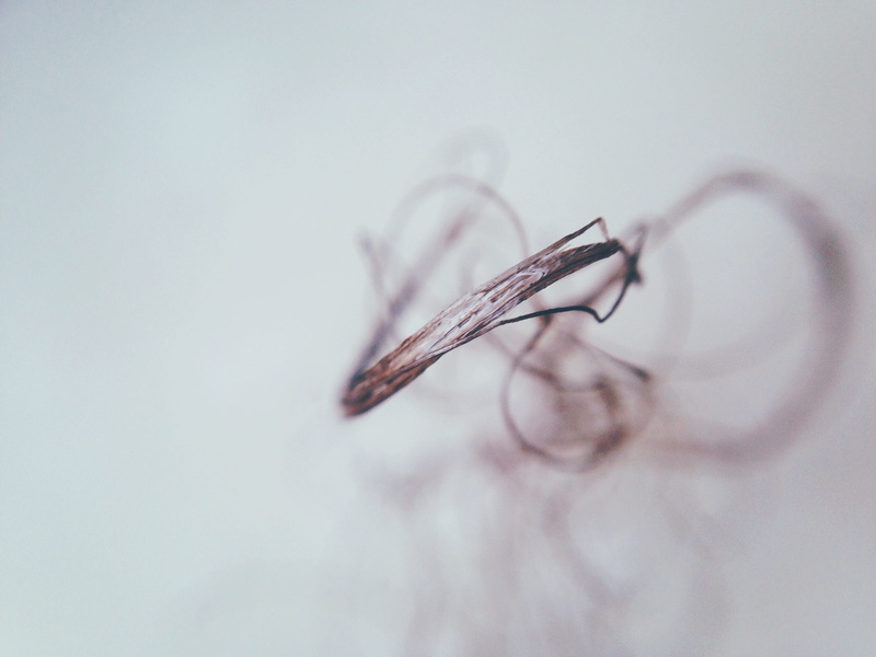 white, simplicity, 2K, close-up, positive emotion, clean, extreme close-up, focus on foreground, pattern, copy space, selective focus, still life, macro